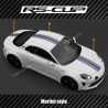 Sticker Martini style for Alpine A110 RS-CUP