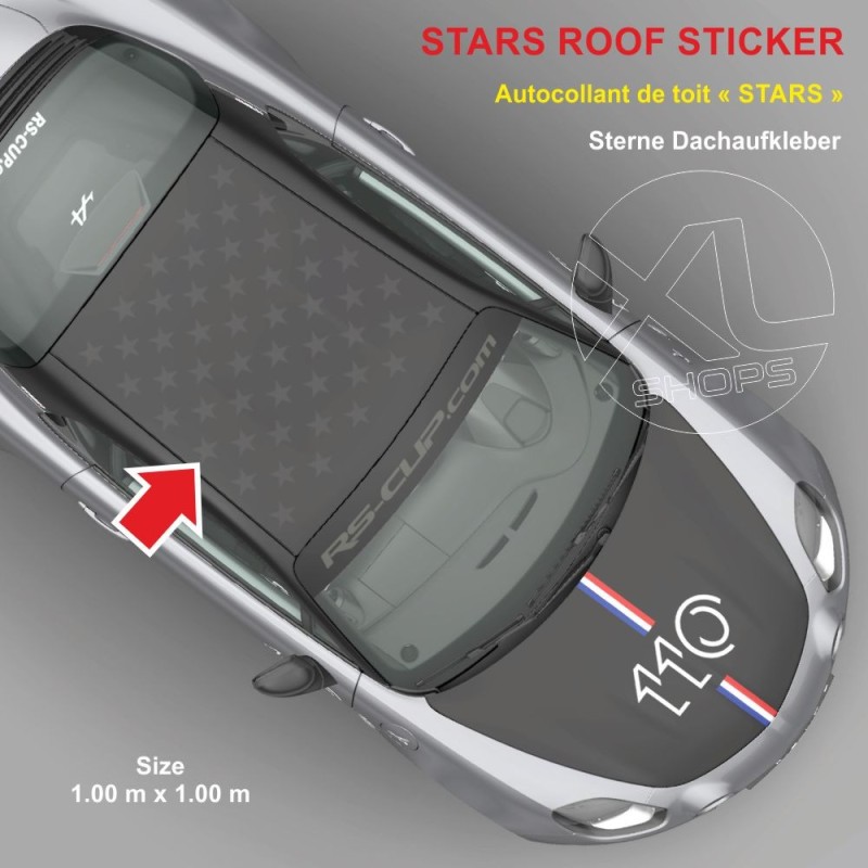 PIKES PEAK STRIPES roof sticker for A110