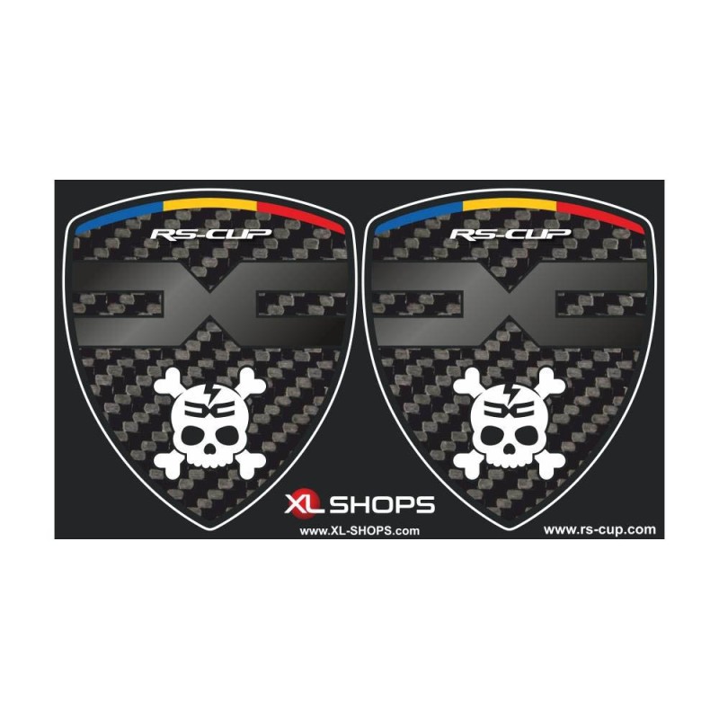 2 DACIA carbon Look sticker decal