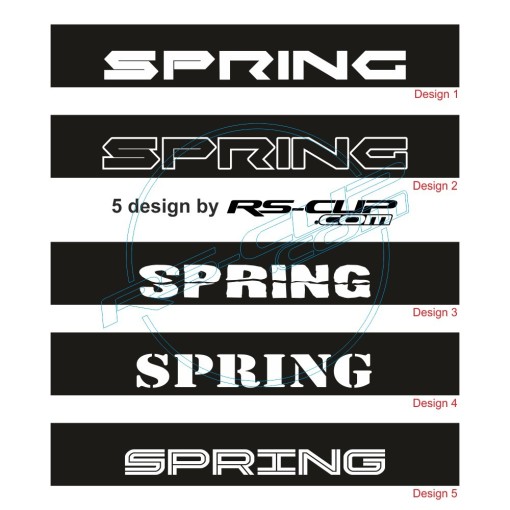 Windschutzscheibe aufkleber DACIA Spring