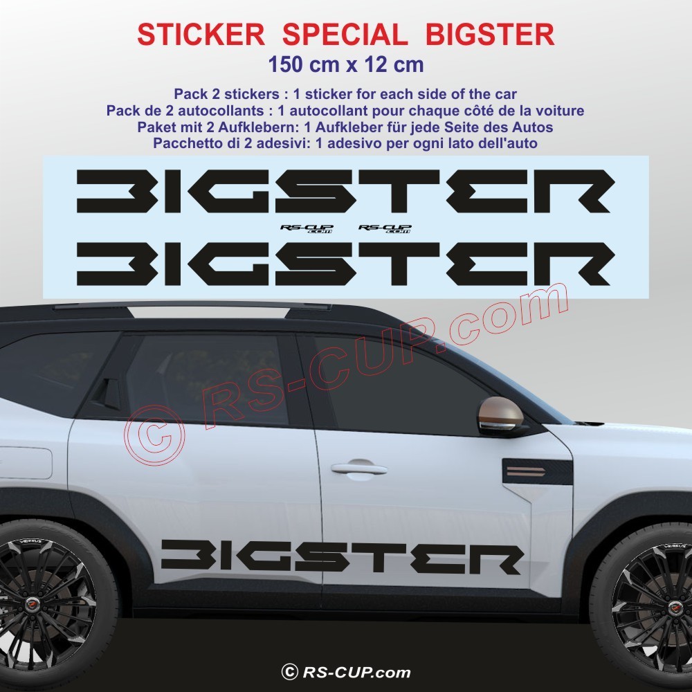 BIGSTER - 2 adesivi laterali per minigonne Dacia - Design 1