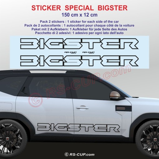 BIGSTER - Pack de 2 stickers bas de caisse pour Dacia - Design 2