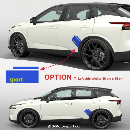 SPORT-STREIFEN SPECIAL SUV - Doppellinien-Aufklebersatz für den vorderen Kotflügel
