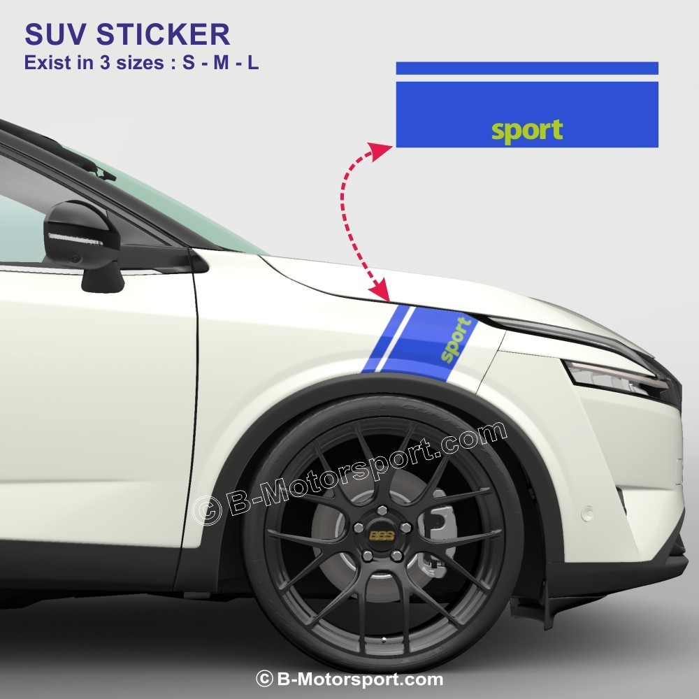 SPORT STRISCIA SPECIAL SUV - Kit adesivo a doppia striscia per parafango anteriore